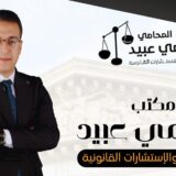 محامى بالمنصورة